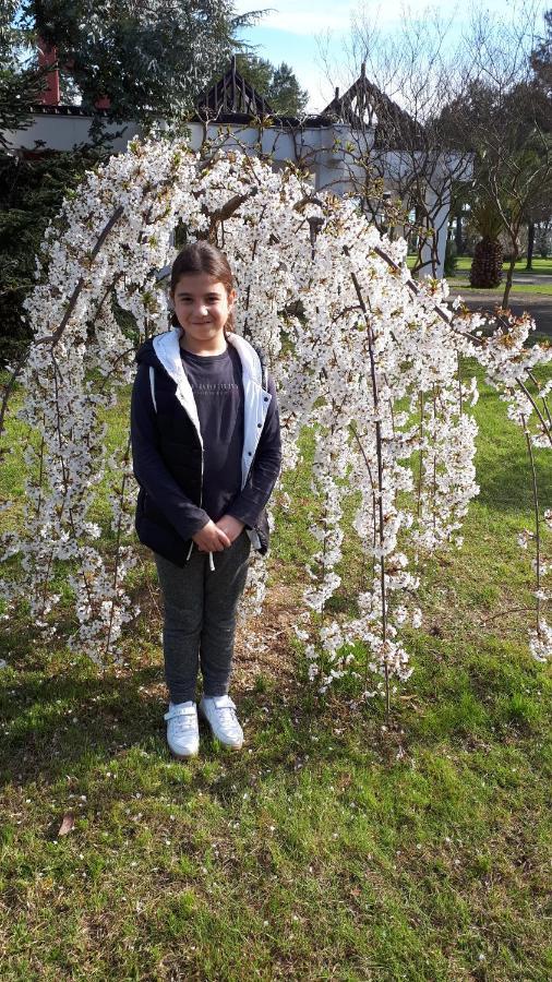 Домики У Лизы Под Ключ Picunda Zewnętrze zdjęcie